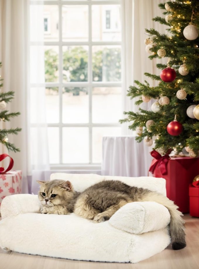 Dog Couch, Washable Cat Couch for Indoor, Calming Cat Couch Pet Sofa Bed Puppy Sleeping Bed with Pillow, Fluffy Cat Bed for Small Cats & Dogs (Large, Beige)